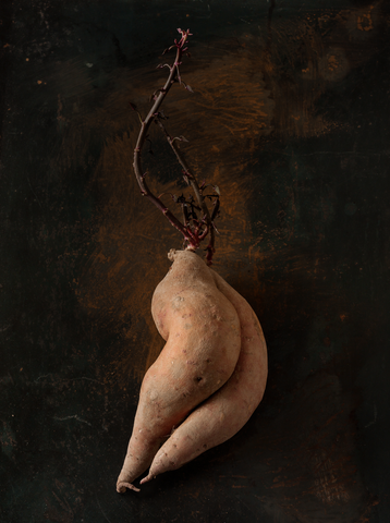 Beth Galton, 'Garnet Sweet potato from Union Square Greenmarket, N.Y, N.Y; propagation period: 15 days in North-facing window'