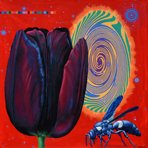 Scott McIntire, 'Black Tulip and Mason Wasp', 2013