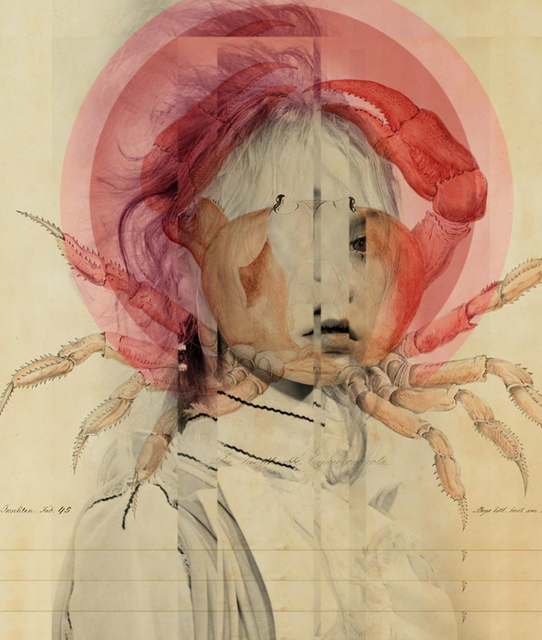 Molly Scannell, 'Crab Girl'